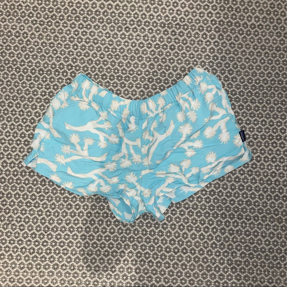 Blue and white Patagonia shorts